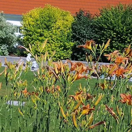 Fewo Kunterbunt *